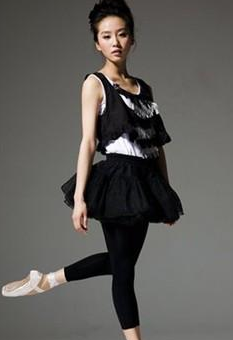 劉詩詩的個人資料