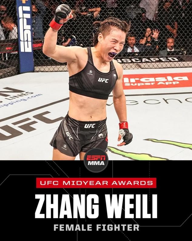 張偉麗個人簡介（張偉麗重回巔峰再獲大獎）