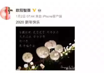 歐陽智薇