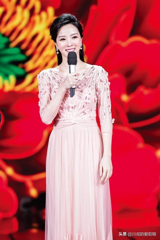 「央視美女主持」李思思的老公資料簡介（嫁60歲富豪動機不純？同事氣憤說出真相）