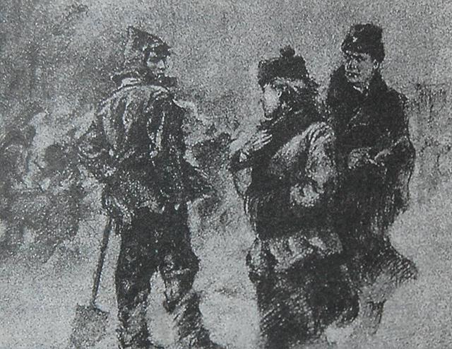 奧斯特洛夫斯基