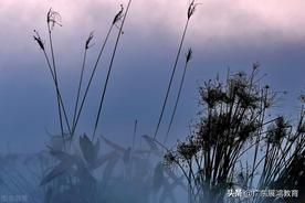 約法三章的主角是誰（歷史故事：劉邦與「約法三章」）