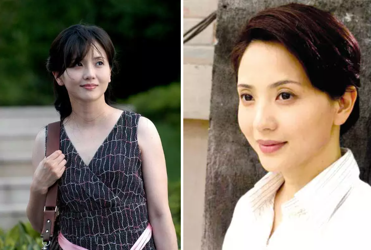 陶慧敏個人資料（「小白菜」陶慧敏，年輕時清麗脫俗，中年發福也優雅端莊）