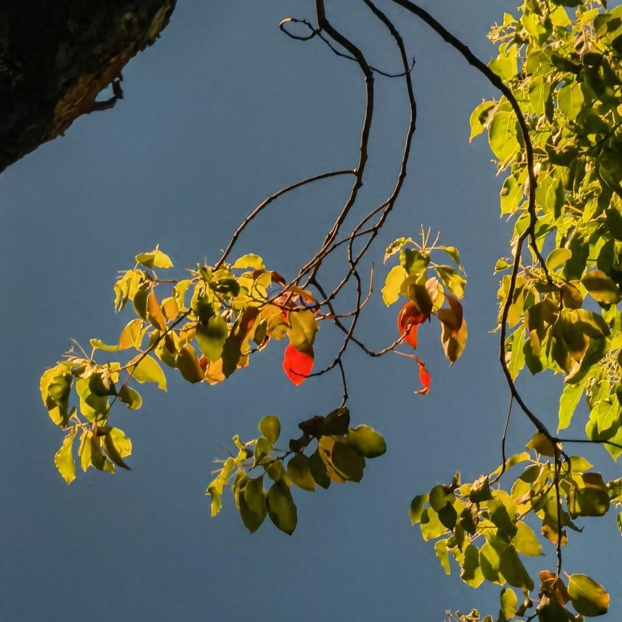 曾鞏二十年科考路漫漫，不拋棄不放棄，成就人生夙願