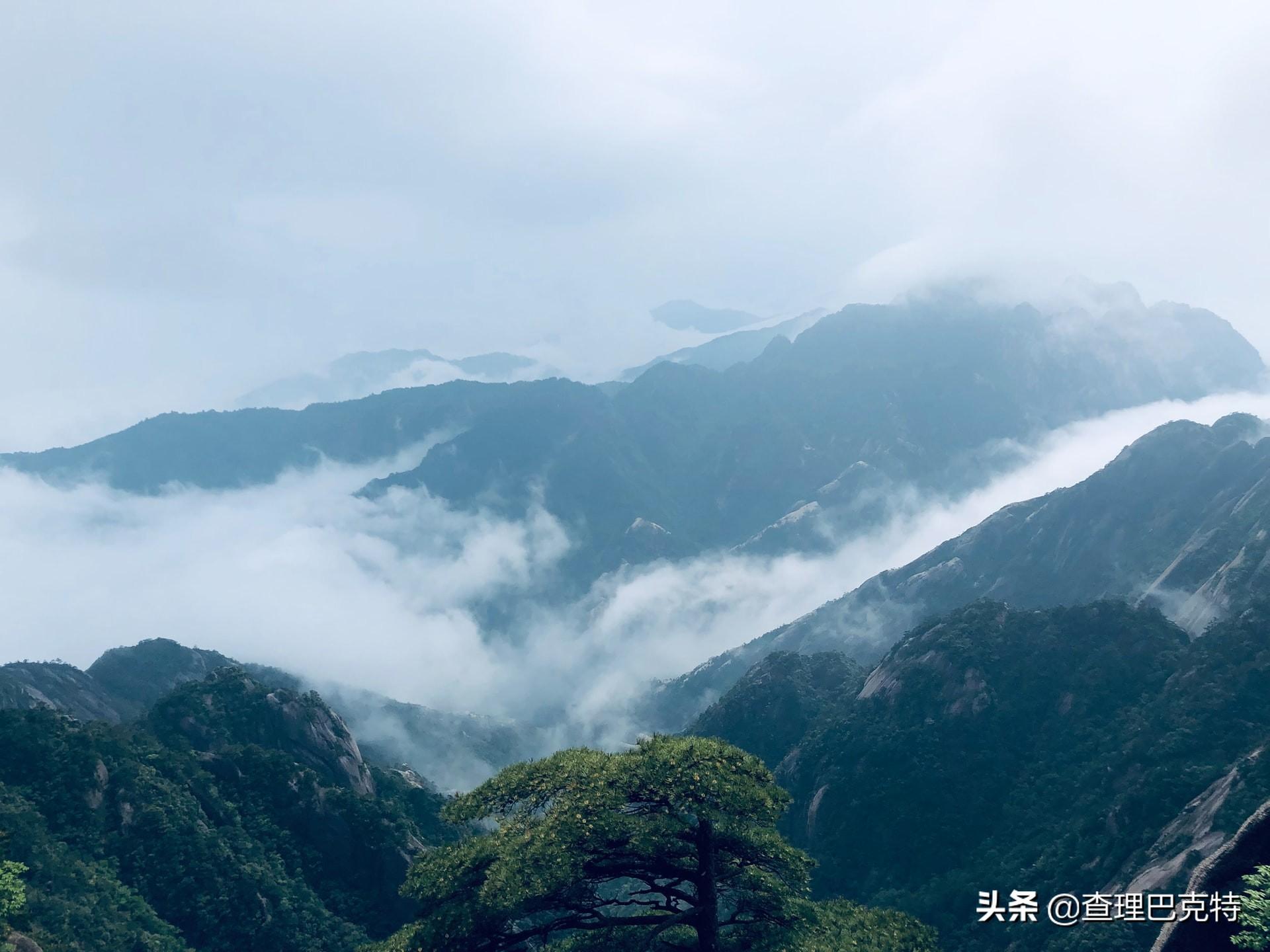 男人的樣子，陸遊血鬥士的樣子