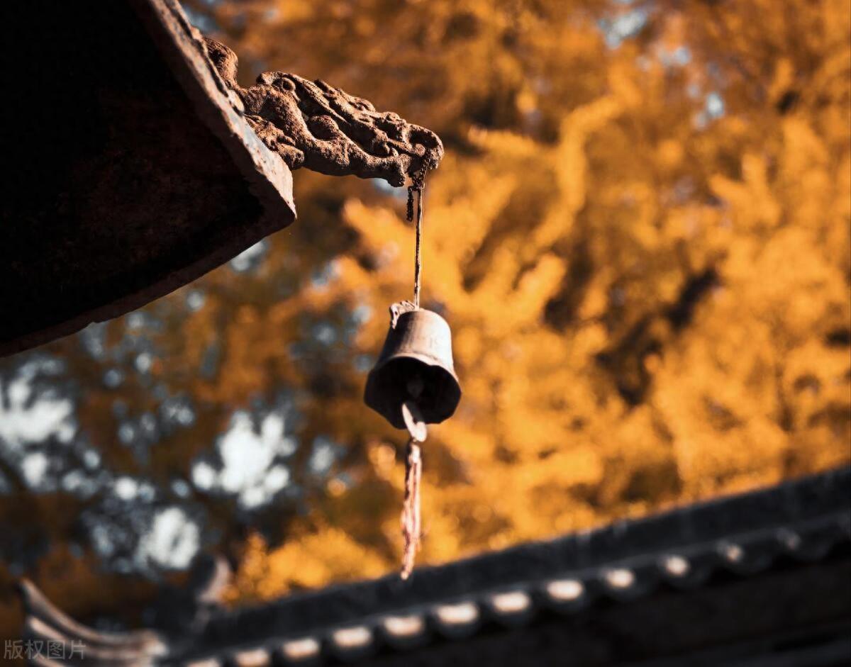 莊子的智慧：人生，在於六種極致的專注