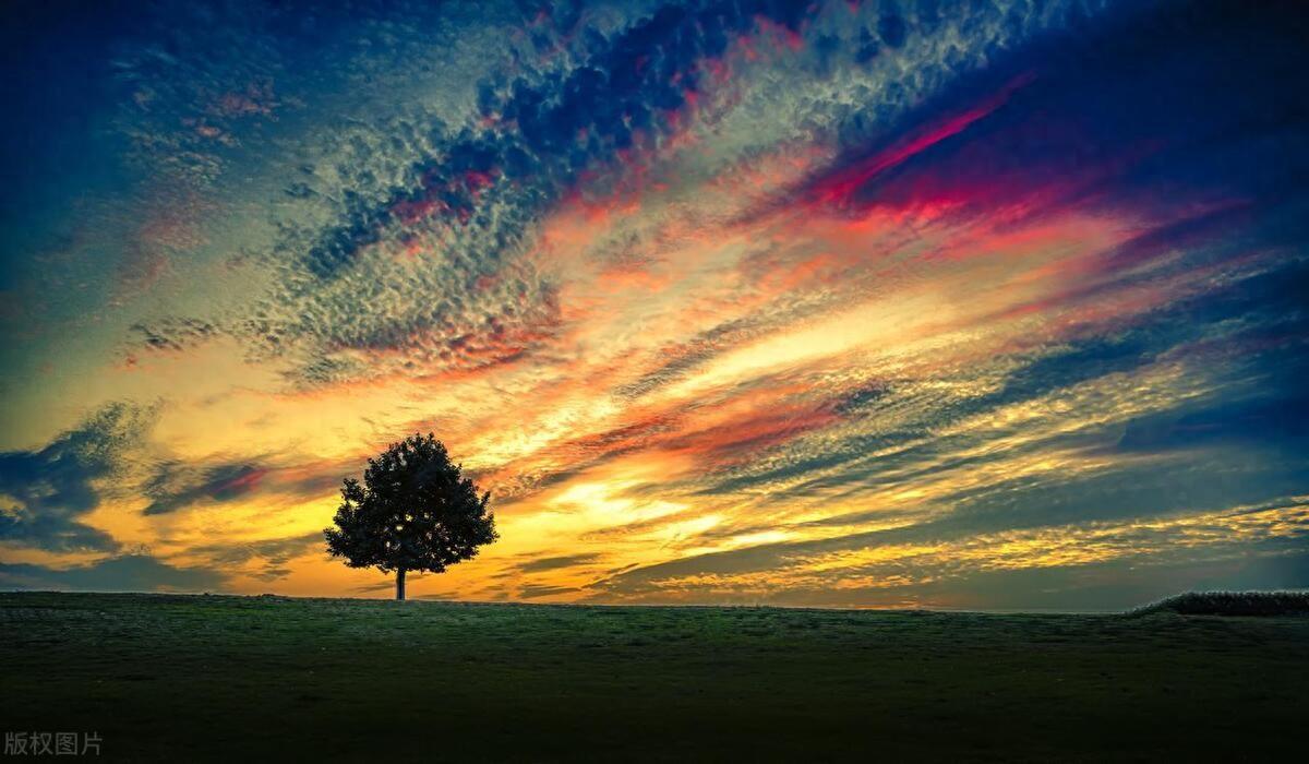 莊子的智慧：你的所為都是你內在的根所給予的。