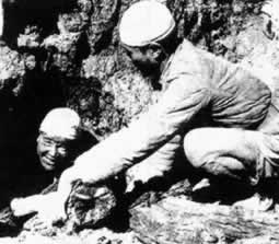 張思德的英雄事蹟簡介抗戰史上的今天（張思德犧牲）