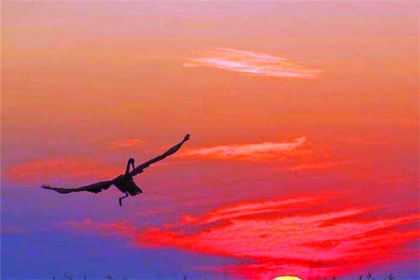 夕陽無限好 只是近黃昏是誰的詩句(李商隱因心情不好，駕車出行寫下《樂遊原》)