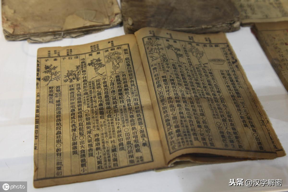 李時珍簡介及故事（李時珍為何被稱為「藥聖」？能把死人救活，寫下千古奇書）