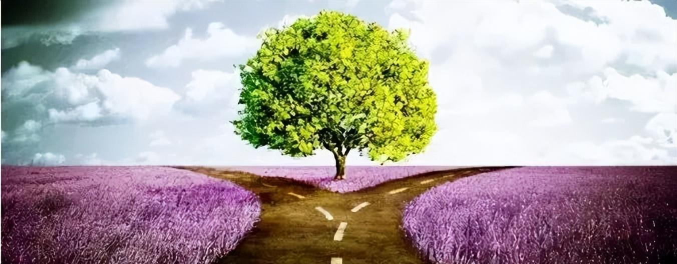 金波簡介及代表作品（作家金波喜獲兩個文學獎）