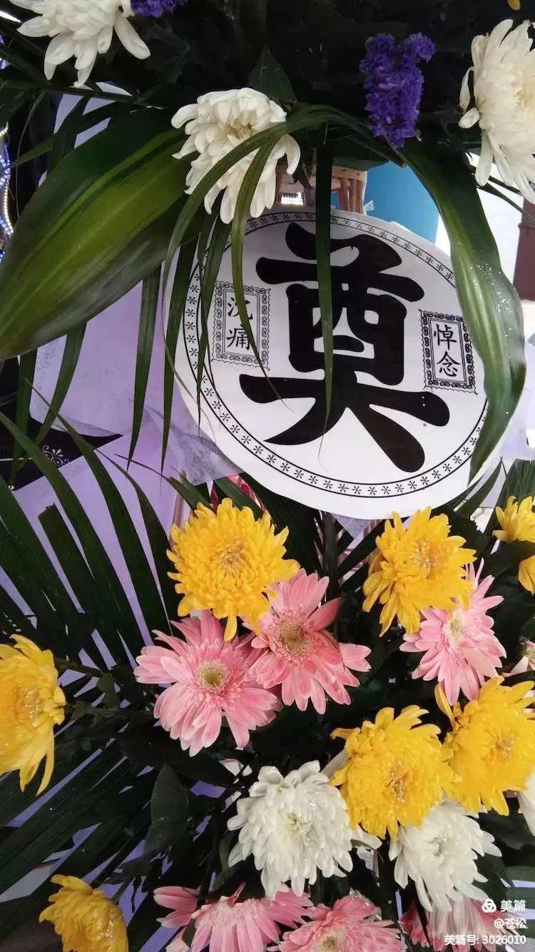 楊光合