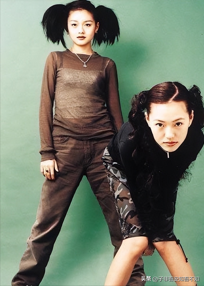 大s個人資料簡介及家庭（大S徐熙媛的成長史｜從星光閃耀到豪門富太 情債累累卻樂此不疲）