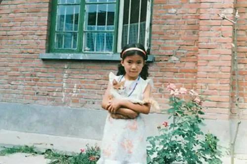 高圓圓個人資料及履歷目前的狀況（出生於高級知識分子家庭的高圓圓，為何最終淪落為一個「戲子」？）