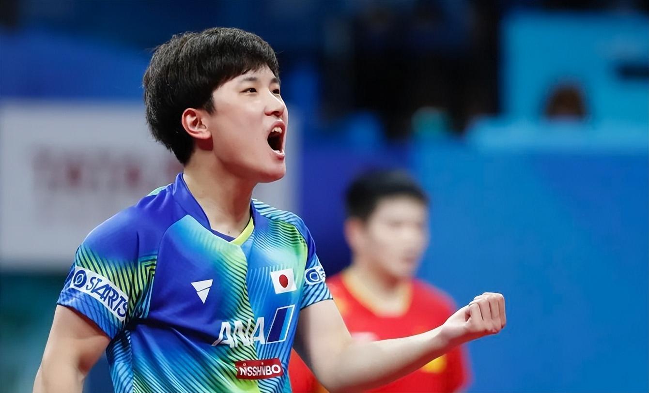 張本智和履歷及個人資料簡介（父母皆是四川人！張本智和談網暴，與現實大不同，無視任何評論）