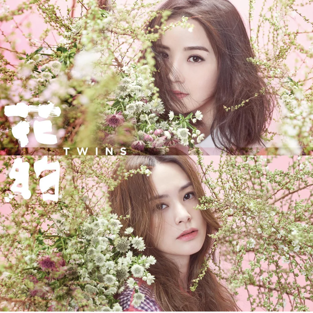 出道20年，twins人生啟示錄