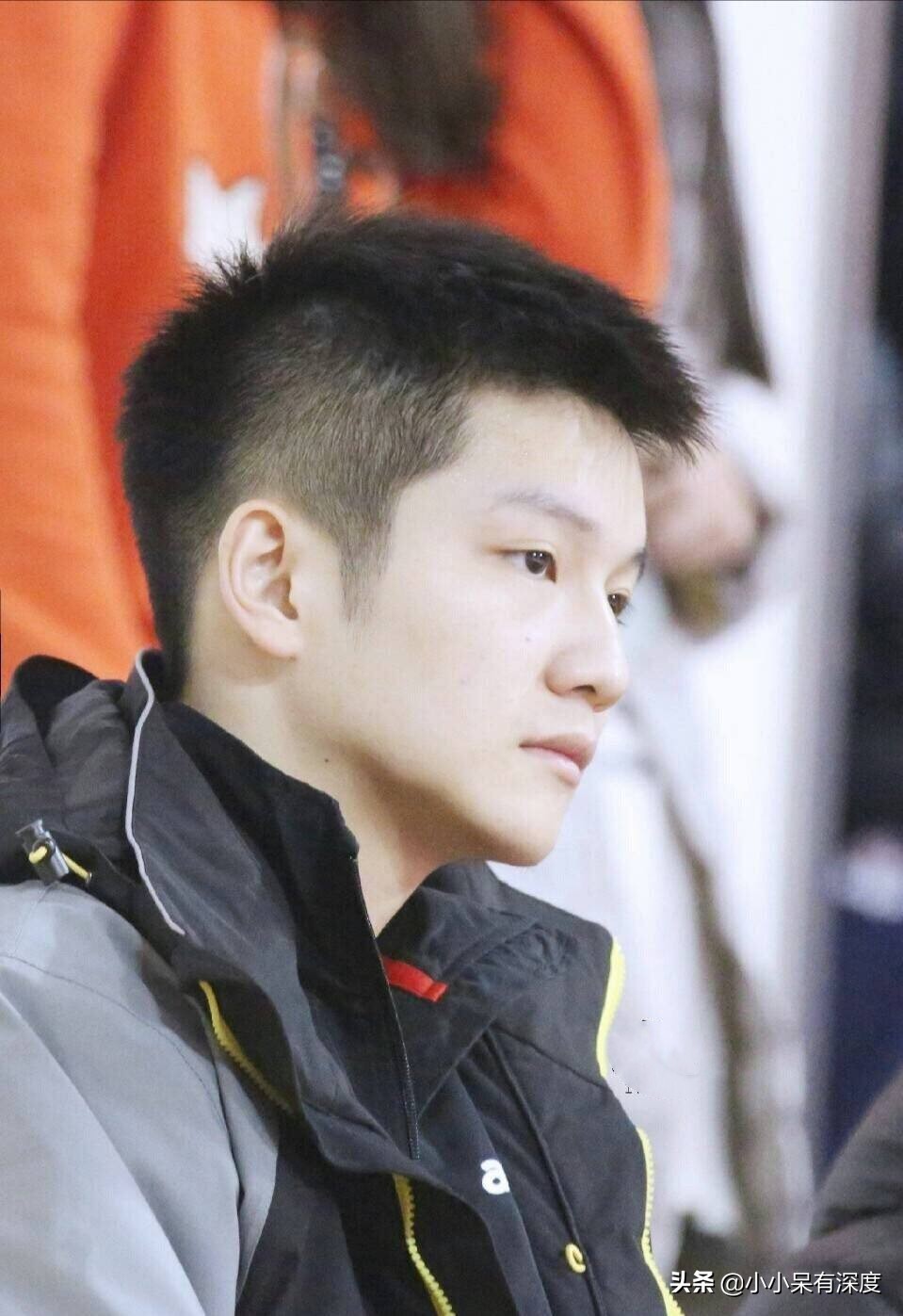 樊振東個人資料簡介（天才型運動員，李子君宣布戀情後，為何他卻登上熱搜榜？）