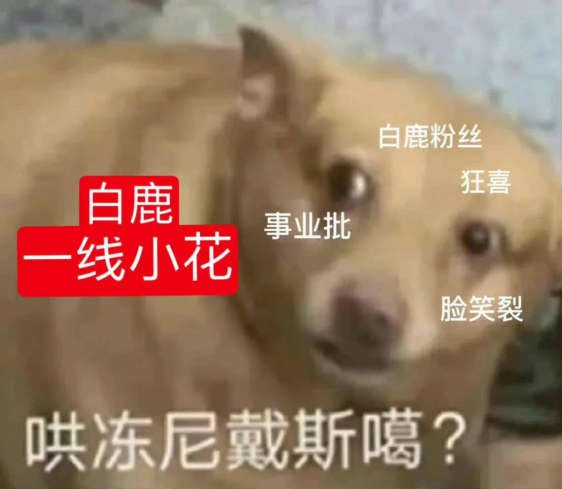 白鹿
