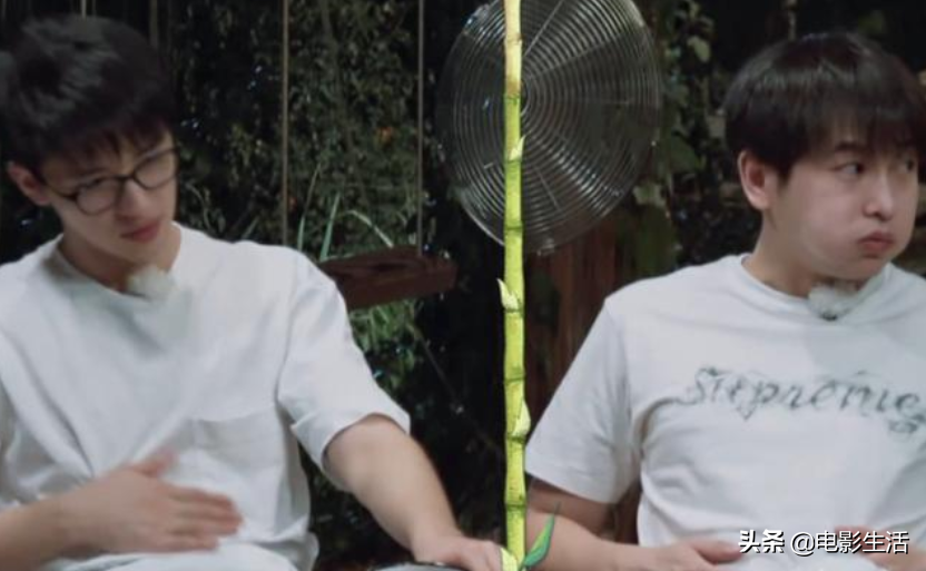 《嚮往的生活》許魏洲彭昱暢關係有多好？一個行為暴露他們真感情