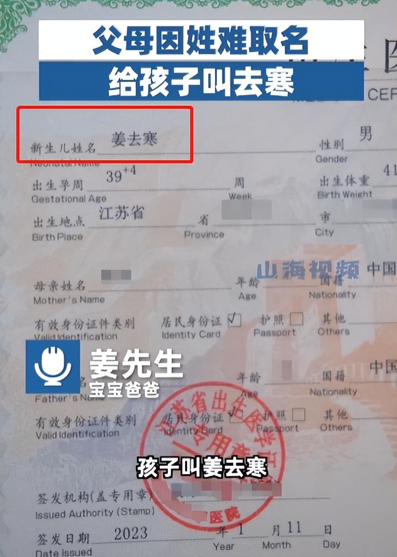 現在的電影真敢演，賈冰陳喬恩姐弟戀，張子楓胡先煦變夫妻