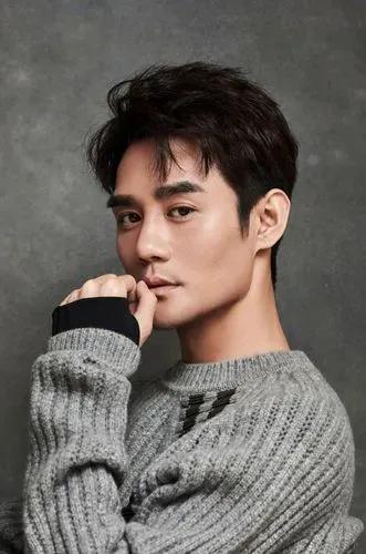 追夢之星－王凱的演藝之路簡介