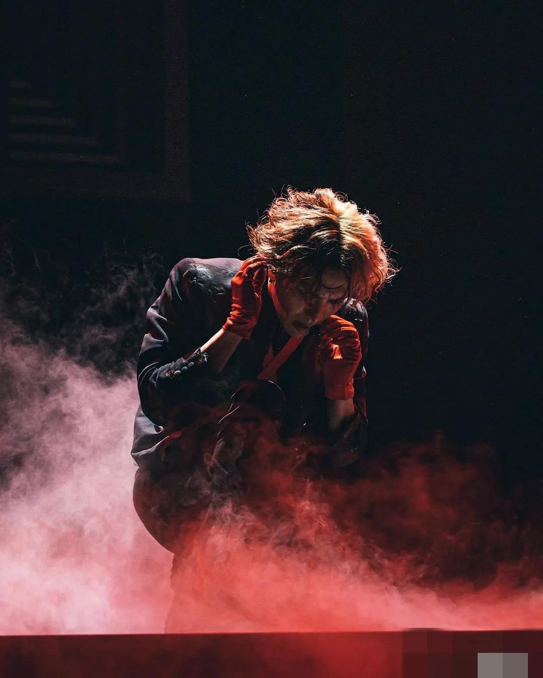 王嘉個人簡介: 第一個在南美洲開演唱會的頂流華人，歐美排隊接機追星更瘋狂