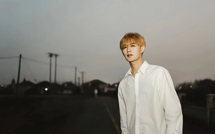 十年心酸成名史 劉宇寧個人資料簡介：從網路歌手到明星，他的成功沒人能複製