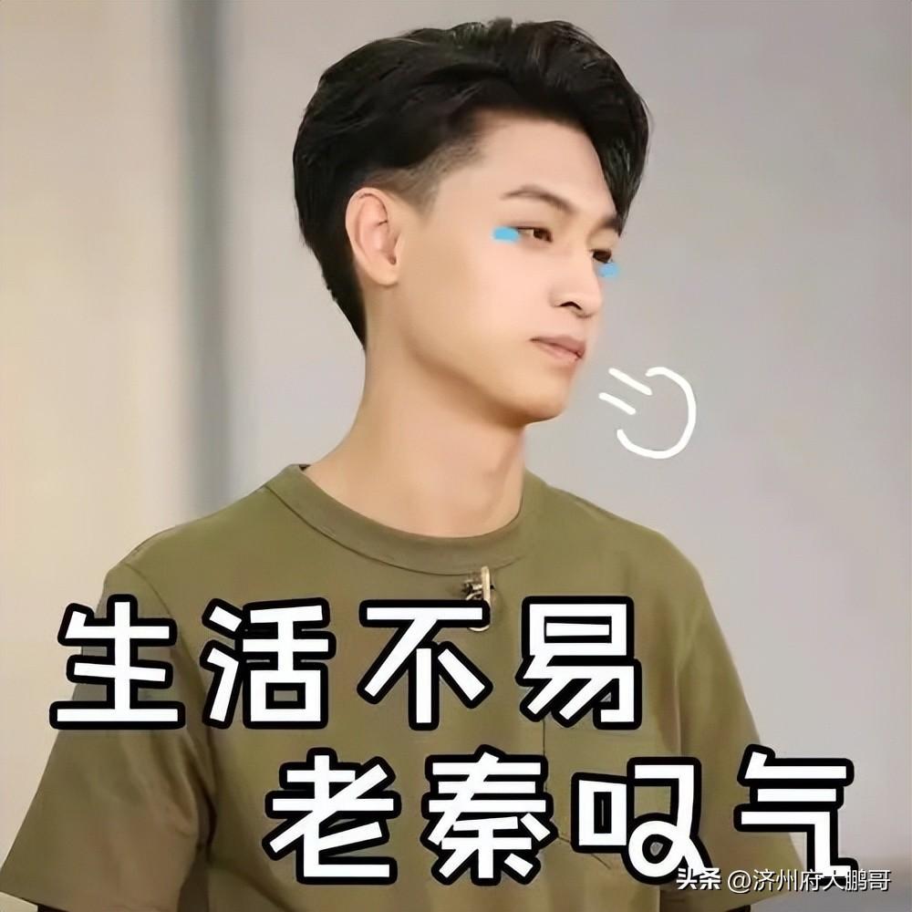 秦霄賢個人簡介–綜藝節目上的表現，早已駕輕就熟