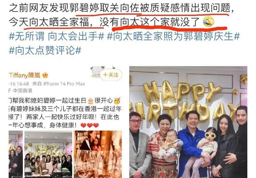 應採兒個人資料 「精明女人」為何不嫁向佐，轉身選了家世一般的陳小春？