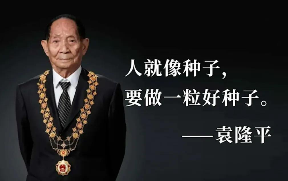 袁隆平:履歷個人資料