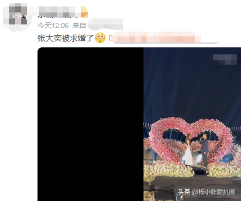 網紅張大奕被求婚成功！男方是房地產富二代，知名總裁曾為她辭職